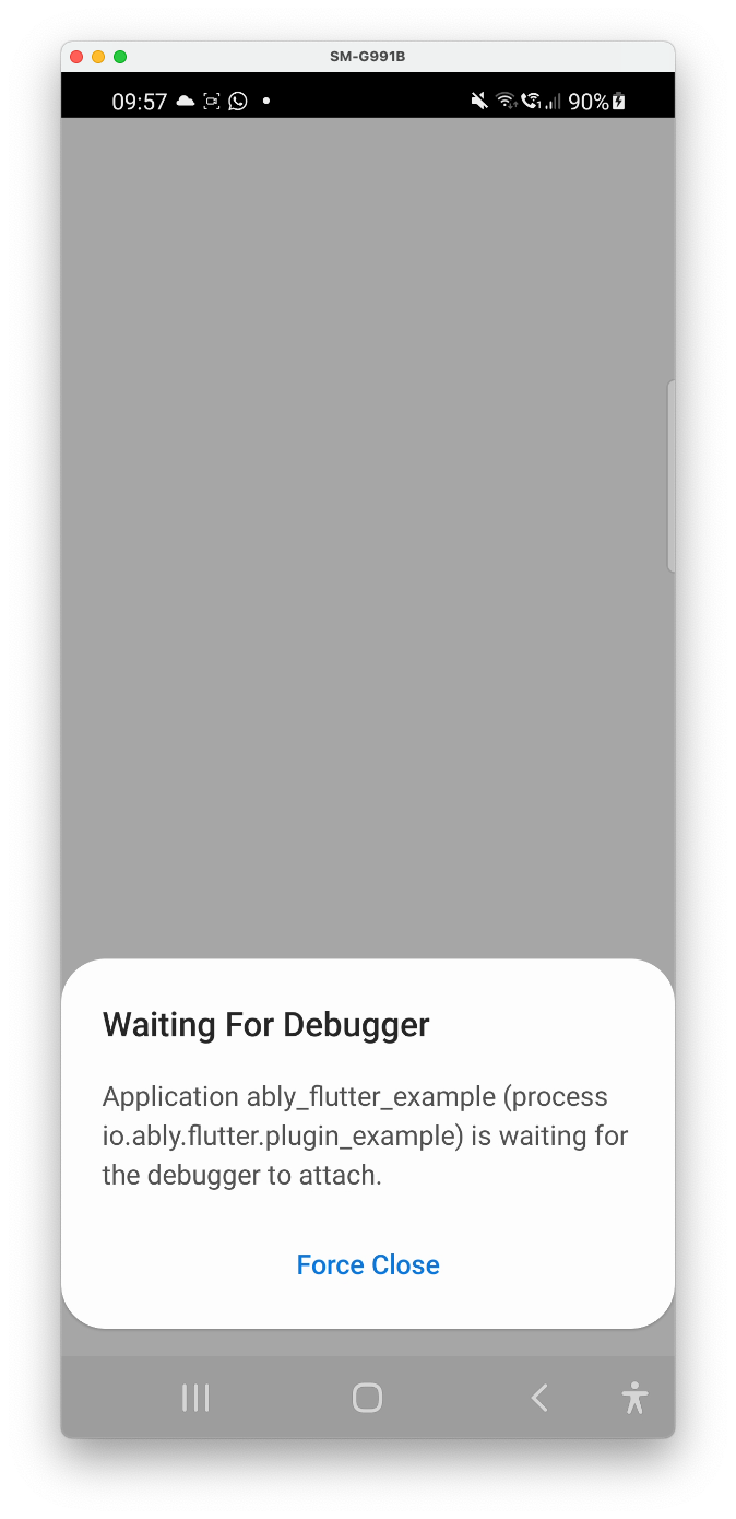 waiting_for_debugger